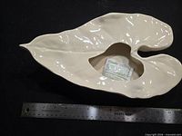 Top view showing leaf form and central opening with Kay Finch label and ruler for scale