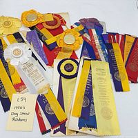 Group view of over twenty mid-1950s dog show ribbons in assorted colors and styles