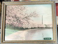Full view of framed Cherry Blossoms photograph