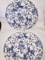 Both plates front view showing full pattern