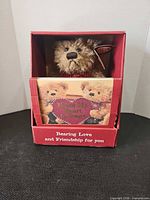 Front view of boxed set showing bear and book