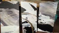 Front view of the three matching abstract canvases together