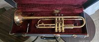 Instrument in open case showing full length and bell