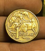 Reverse showing five kangaroos and denomination