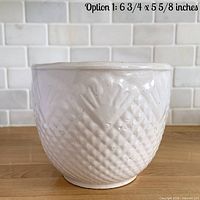 Front view of white pineapple-pattern planter