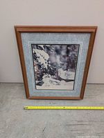Front view of framed photograph showing image, matting and frame