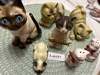 Group shot of all seven cat items on mat