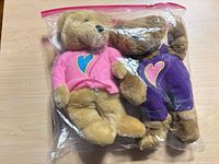 Both bears sealed in clear zipper bag