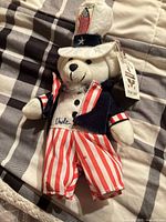 Front view of plush bear displaying outfit, hat, and tag