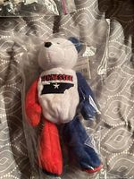 Front of sealed Tennessee souvenir plush bear