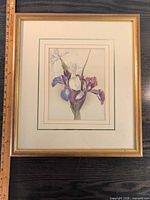 Framed chromolithograph with ruler for scale