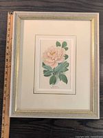 Full view of framed chromolithograph with ruler showing size