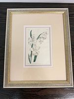 Framed botanical print showing full view with mat and frame