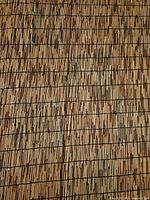 Close view of bamboo reed fencing texture