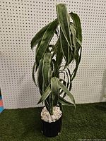 Full view of artificial plant showing leaves and pot