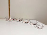 All five nesting bowls lined up by size next to ruler