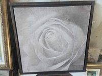 Front view of framed monochrome rose print