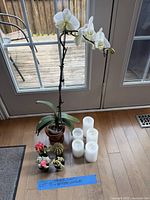 Full lot showing orchid, four cacti and five LED candles on floor