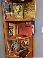 Corner shelf showing all 13 equestrian books and magazines