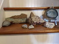 Group view of all mineral specimens and stand