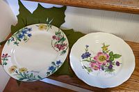 Both plates side by side on surface showing patterns and size