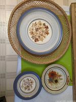 Front view showing the three ceramic wall plates of varying sizes with pressed flowers.