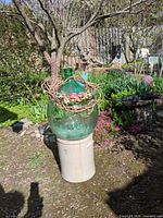 Demijohn perched on stoneware crock in garden setting