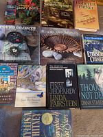 Front covers of all 11 books arranged on floor