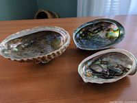 Three abalone shells showing interiors and small pieces