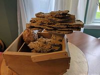Basket containing stone and seashell