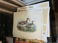 Stack showing duck prints on top of calendars