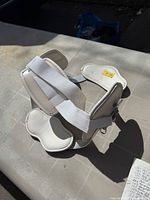 Perspective view showing overall structure, pads and straps