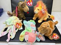 Group shot of all five Ty Beanie Babies on black background