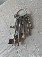 set of nine aluminum skeleton keys on ring laid flat