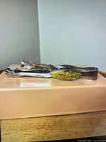 Side view of chrome ice tongs with yellow Bakelite insert