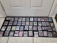 Overall layout of 48 sleeved Panini cards on mat