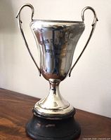 Full view of trophy showing cup, handles, and wooden base
