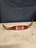 full view of mounted horns showing overall shape