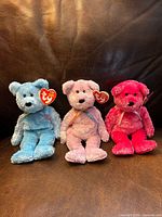 Front view of three Ty Sherbet bears blue, pale pink and bright pink sitting together with swing tags visible