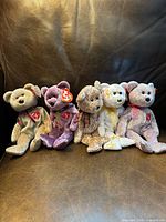 All five Ty Signature bears seated on couch