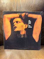 Front cover of Lou Reed Rock n Roll Animal LP
