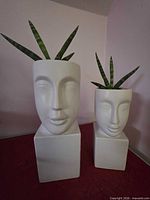 Front view of both ceramic face planters with plants