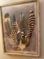 Full view of framed feather print