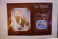 République Togolaise Les hiboux souvenir sheet with barn owl and 3500F stamp