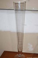 full view of tall clear glass vase