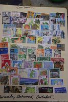 Full view of the stock sheet showing all mounted Caribbean stamps