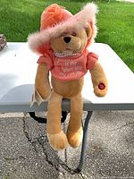 Full view of tan teddy bear wearing pink hat and shirt sitting on table