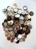 Pile of assorted shell buttons laid out to show quantity, colours and sizes