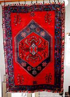 Full view of hanging hand knotted rug showing overall pattern and colours