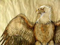 Close-up of eagle’s head and upper wings